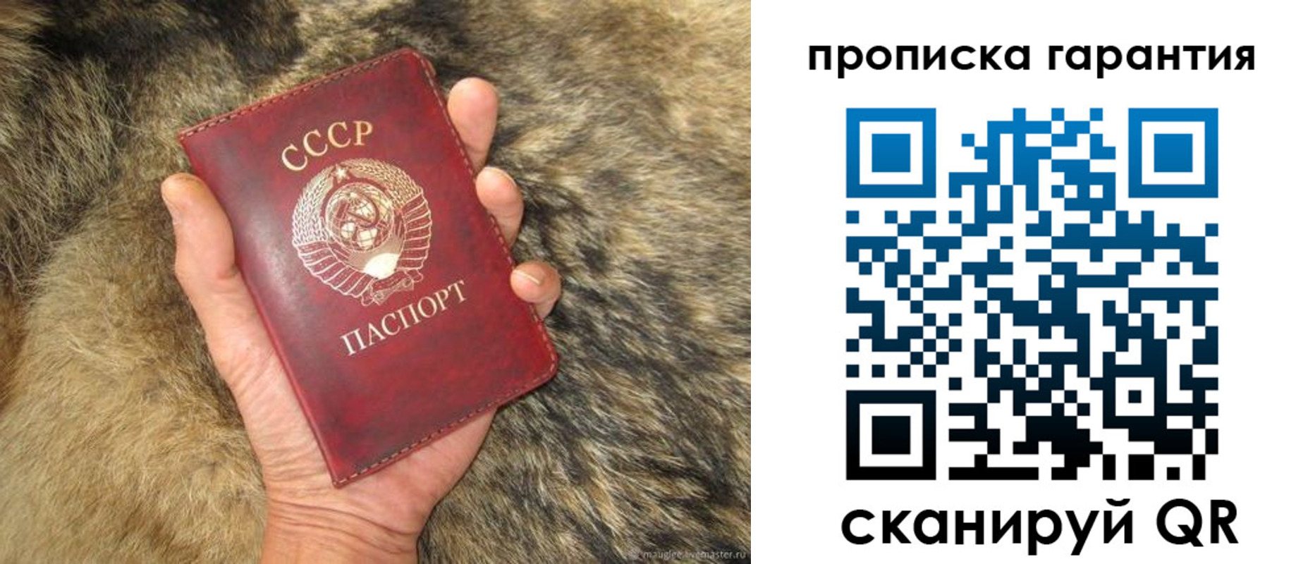 прописка паспорт в Лисках
